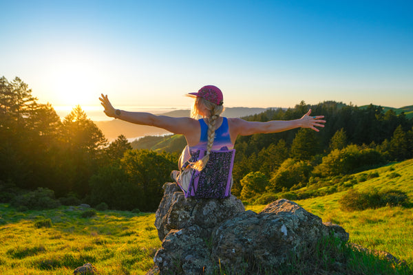 Rachel Pohl Collection