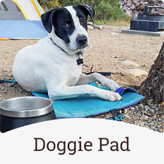 Crazy Creek chair being used as a doggie pad for a lil cute pupper